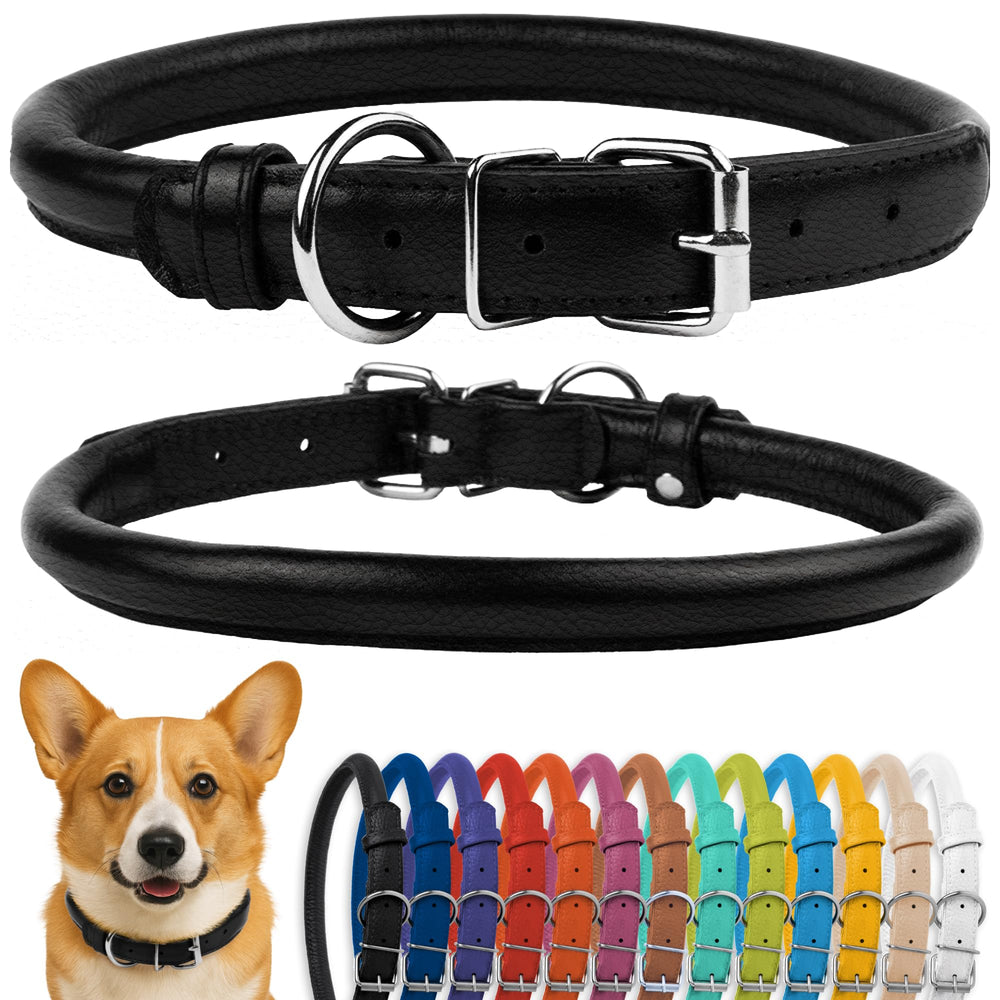 CollarDirect rolled-leather dog collar closeup shows soft padding for long-haired breeds.
