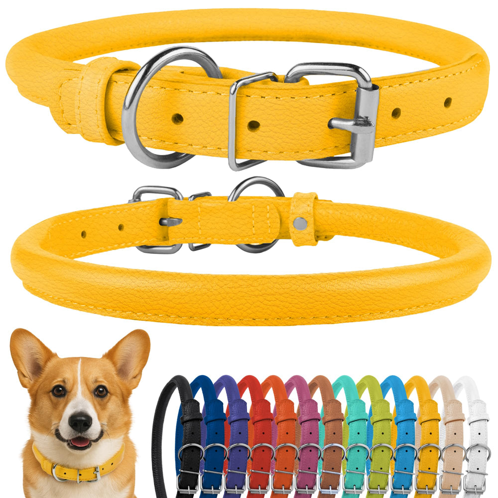 CollarDirect rolled leather dog collar with soft padding for everyday comfort.