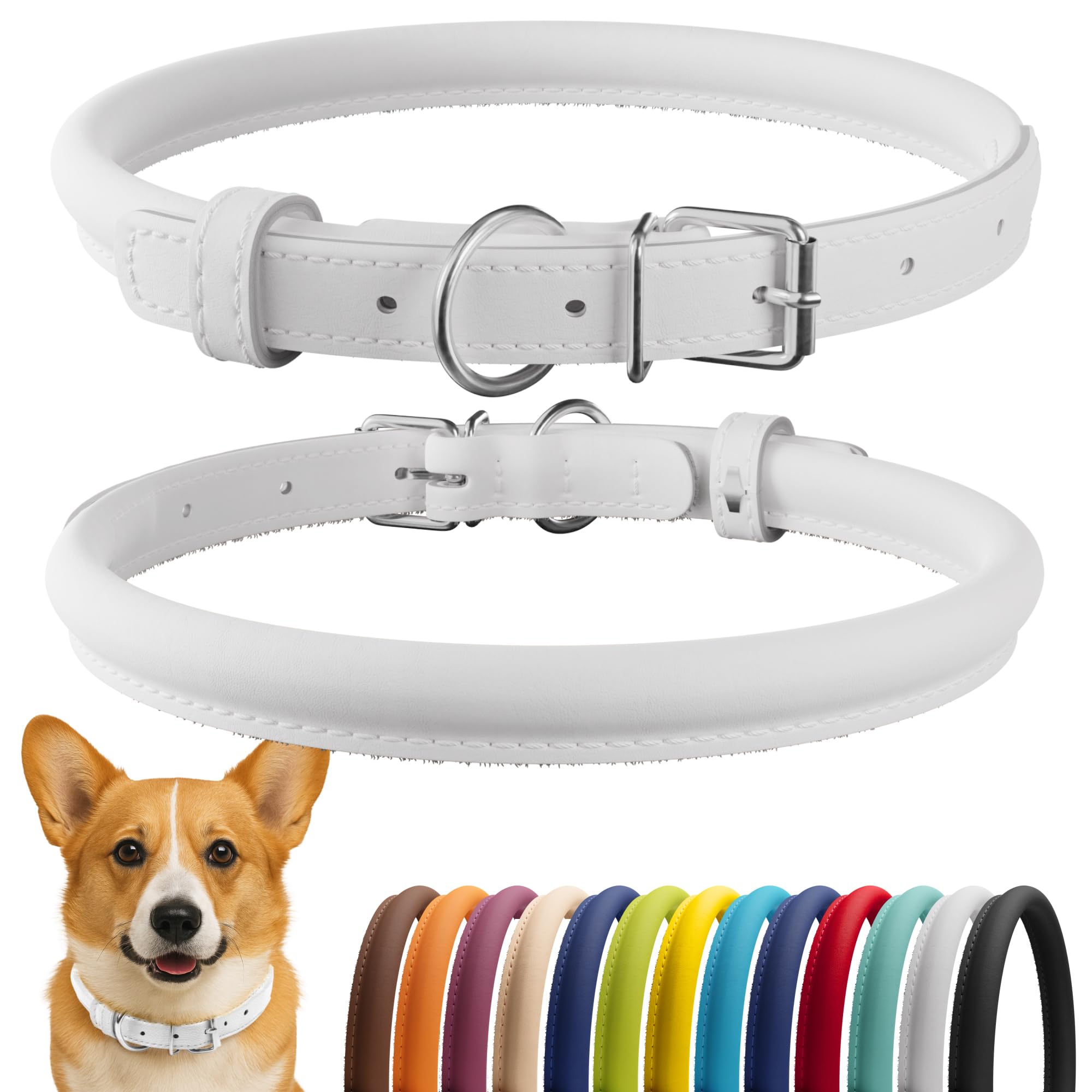 CollarDirect rolled leather dog collar with soft padding for everyday wear