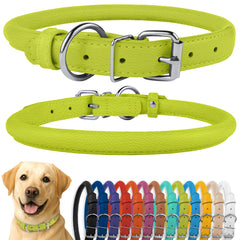 CollarDirect rolled-leather dog collar with soft padding reducing matting in long-haired dogs