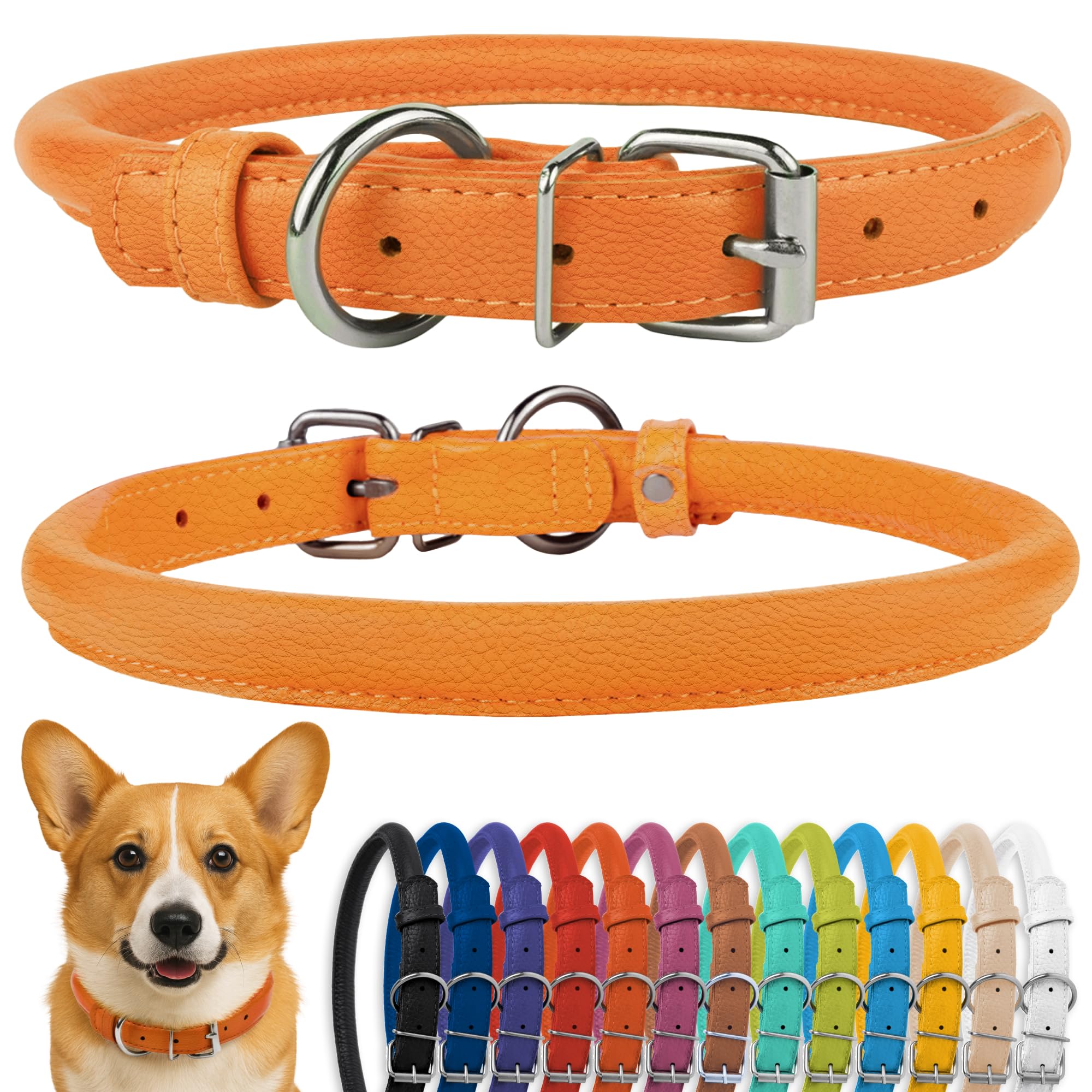 CollarDirect rolled leather dog collar close-up showing sleek, durable wear
