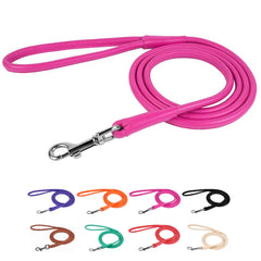 CollarDirect rolled leather dog leash 4ft, comfortable daily walks.