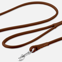 CollarDirect rolled leather dog leash 6ft blue view showing vibrant color option for daily walks.