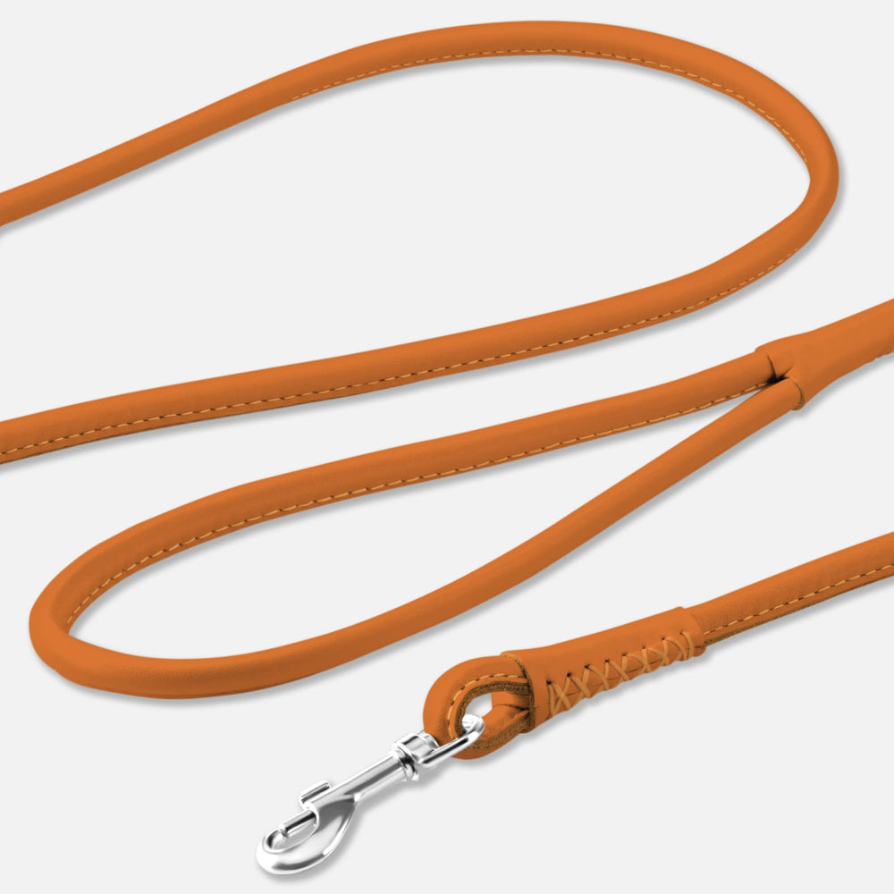 CollarDirect rolled leather leash 6ft blue offers comfort and reliable control on walks.