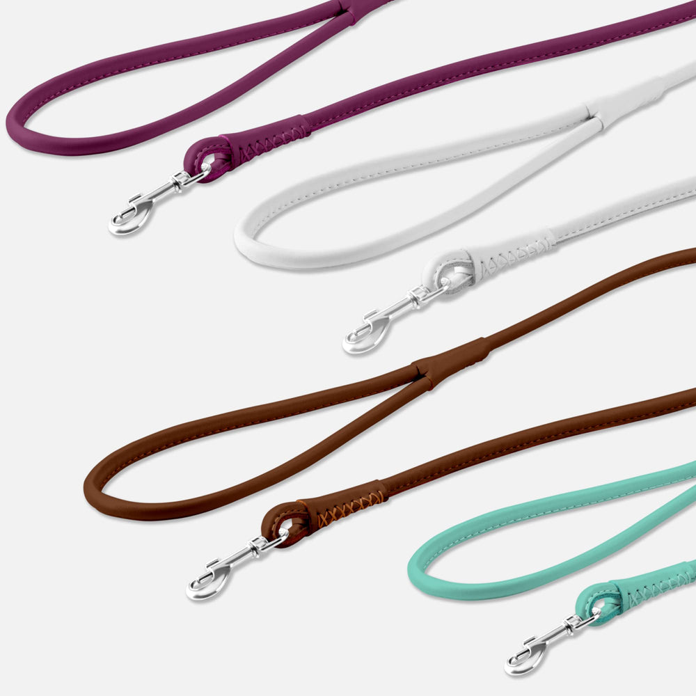 CollarDirect rolled leather dog leash 6ft suitable for puppies to large dogs during training.