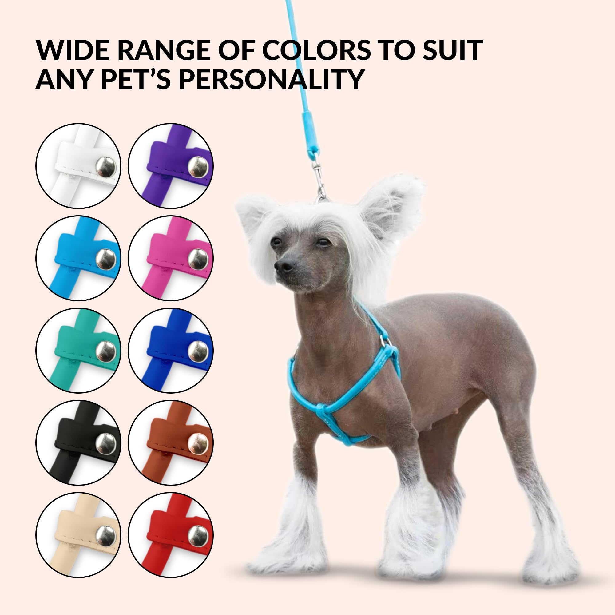 CollarDirect rolled-leather-harness easy-on design supports quick outings.