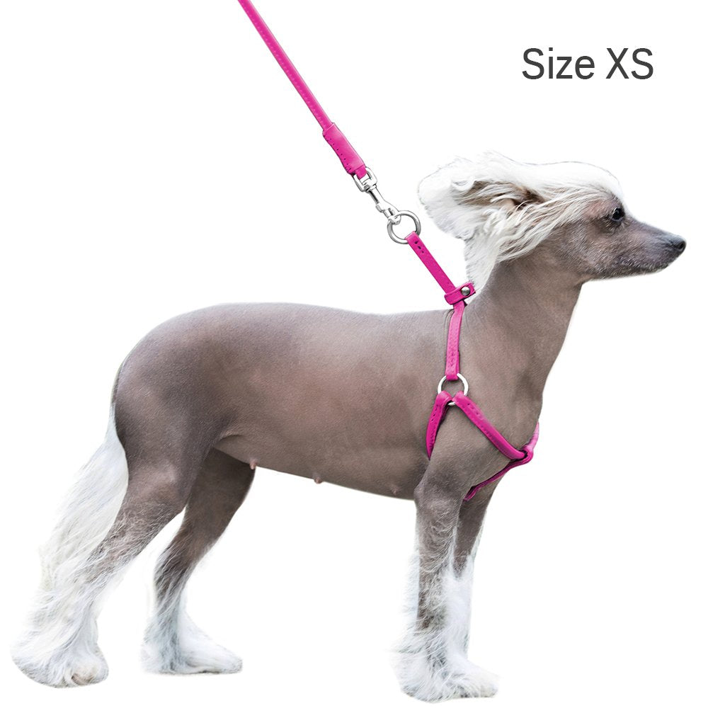 CollarDirect rolled leather harness in beige for subtle, effortless everyday wear