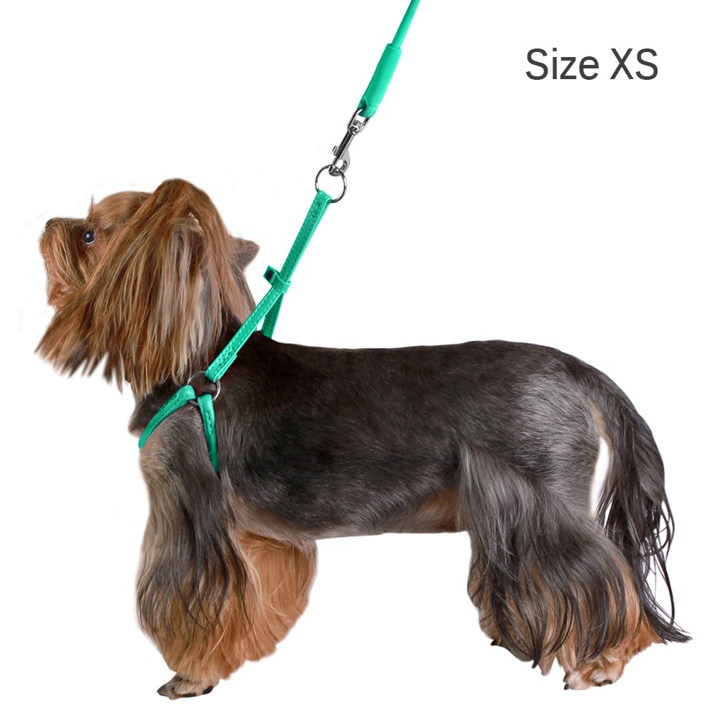CollarDirect rolled leather harness in black blends with outfits and provides reliable control