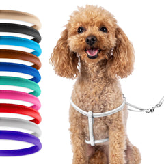 CollarDirect rolled leather harness in pink offers soft comfort for small dogs during daily walks