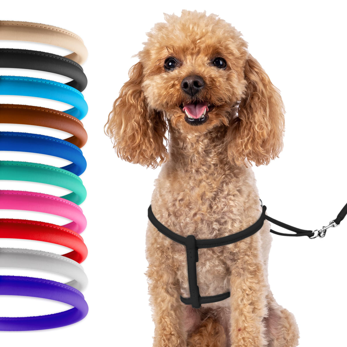 CollarDirect rolled leather harness small size on a puppy for comfortable walks