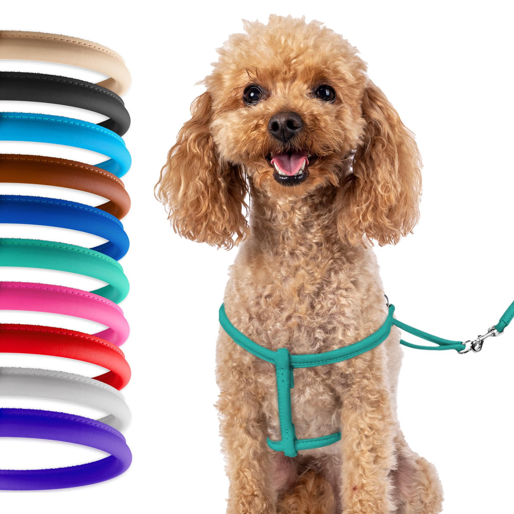 CollarDirect rolled leather harness close-up highlighting smooth leather for small-dog comfort.
