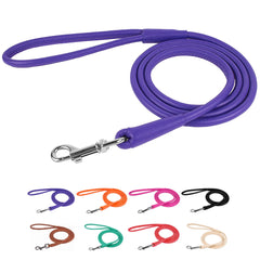 CollarDirect rolled-leather-leash-4ft-black offers durable everyday control for stylish dogs.