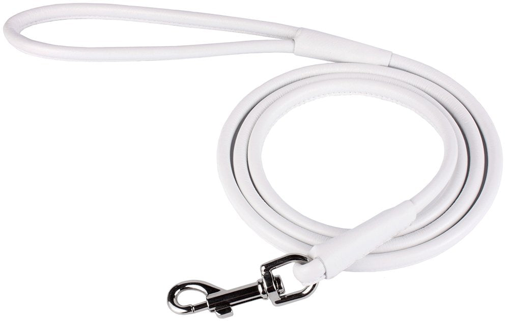 CollarDirect rolled-leather-leash-4ft-orange lightweight yet sturdy for small to medium dogs.
