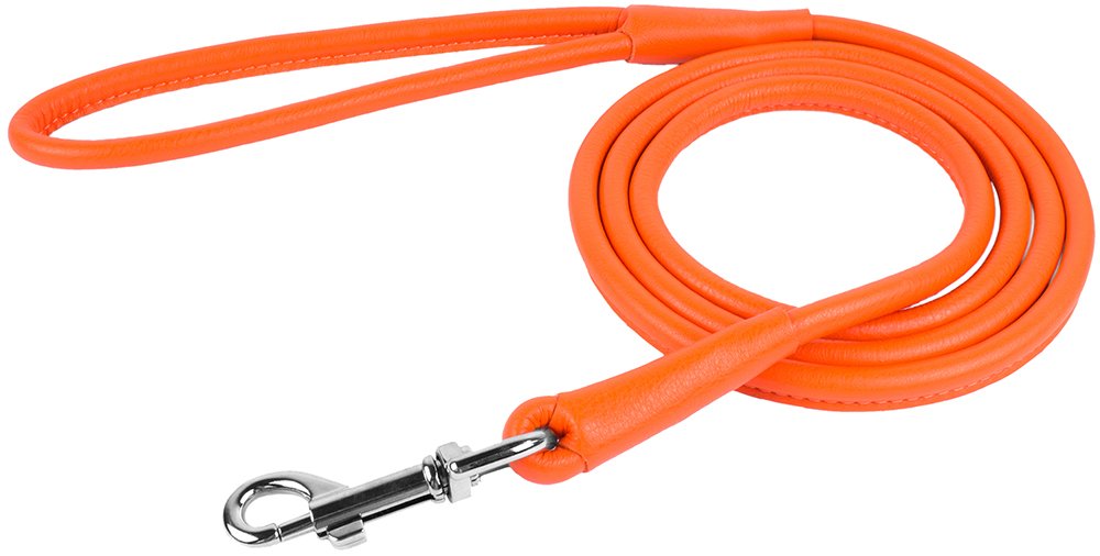 CollarDirect rolled-leather-leash-4ft-purple keeps shine and color for versatile wear.