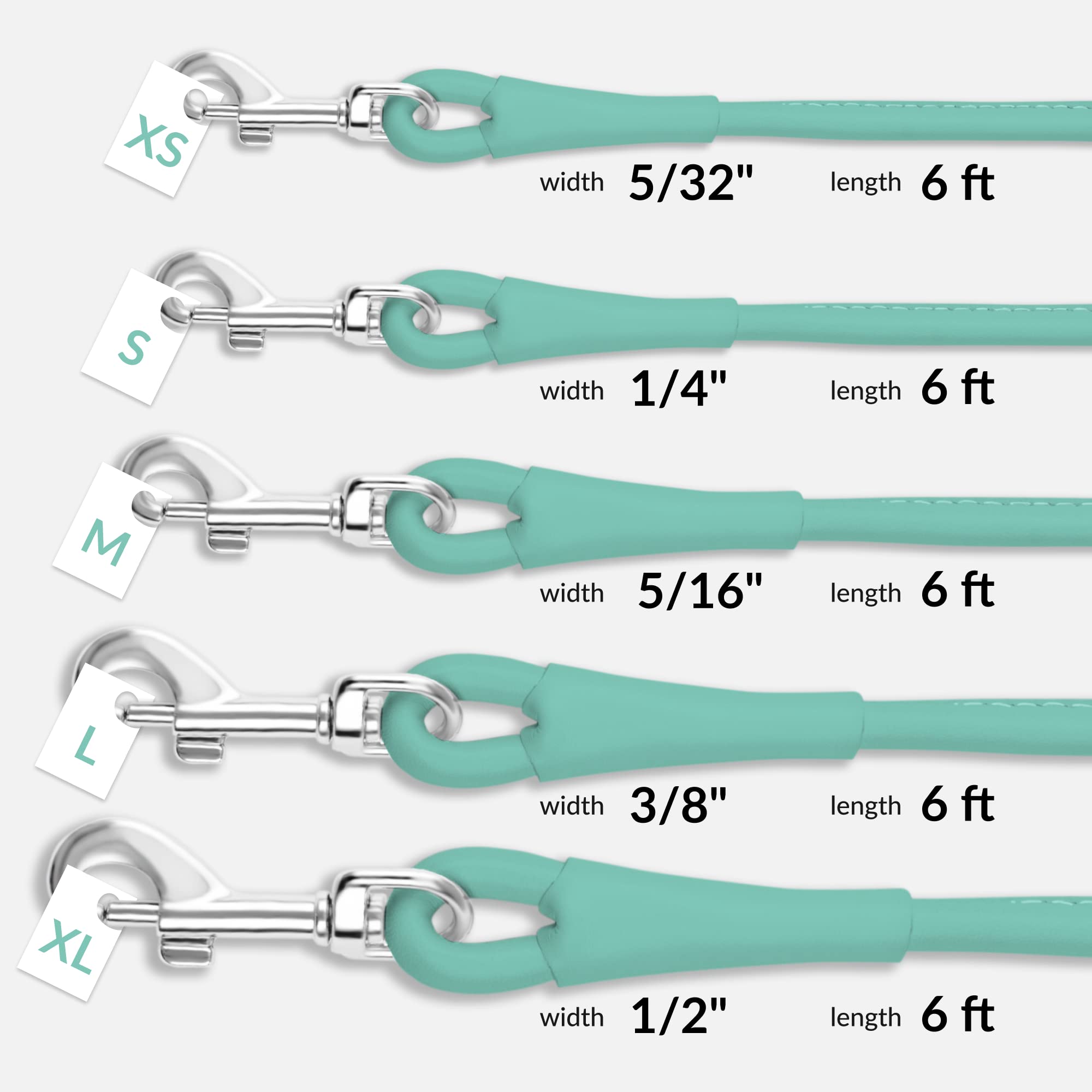 CollarDirect rolled leather leash detail shows premium hardware and smooth leather for everyday durability.