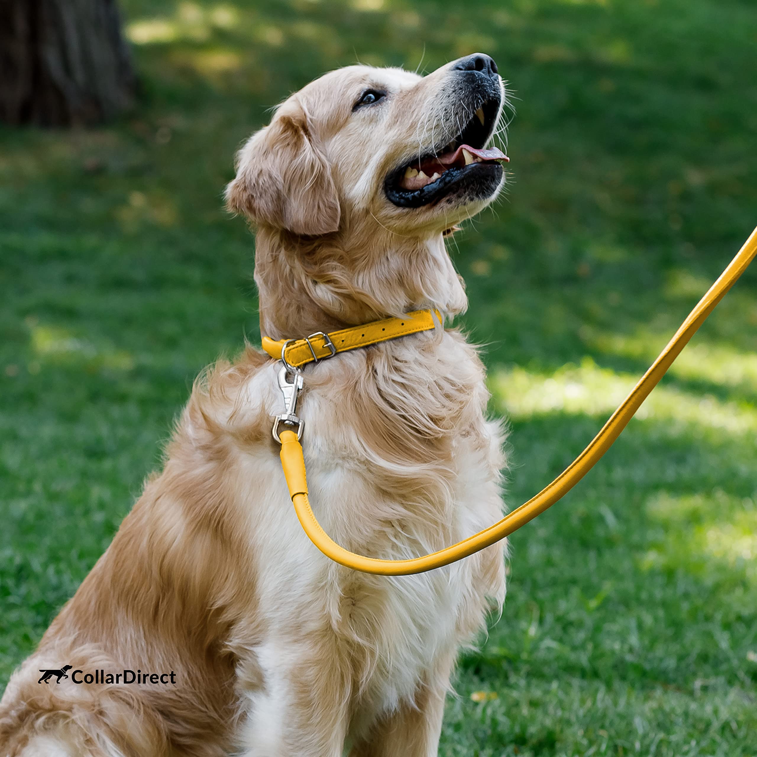 CollarDirect size range 16-20 inch neck fits a variety of breeds.