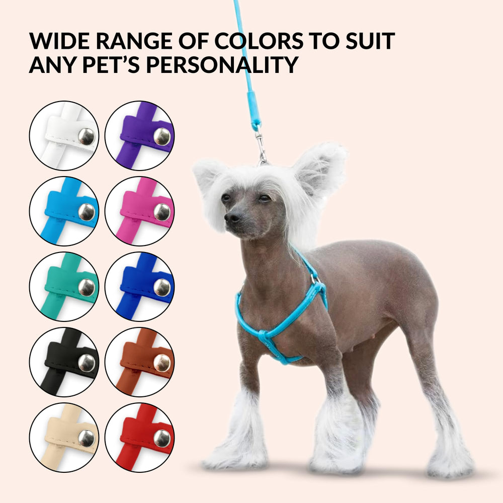 CollarDirect small dog harness size guide helps ensure proper fit.