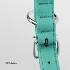 CollarDirect small-breed leather collar on a dog showing versatility