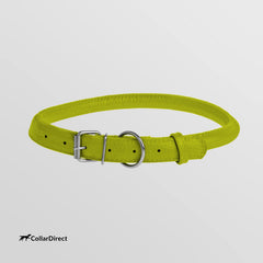 CollarDirect soft-leather close-up highlighting durable everyday wear