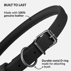 CollarDirect soft leather collar in multiple colors for personalized style.