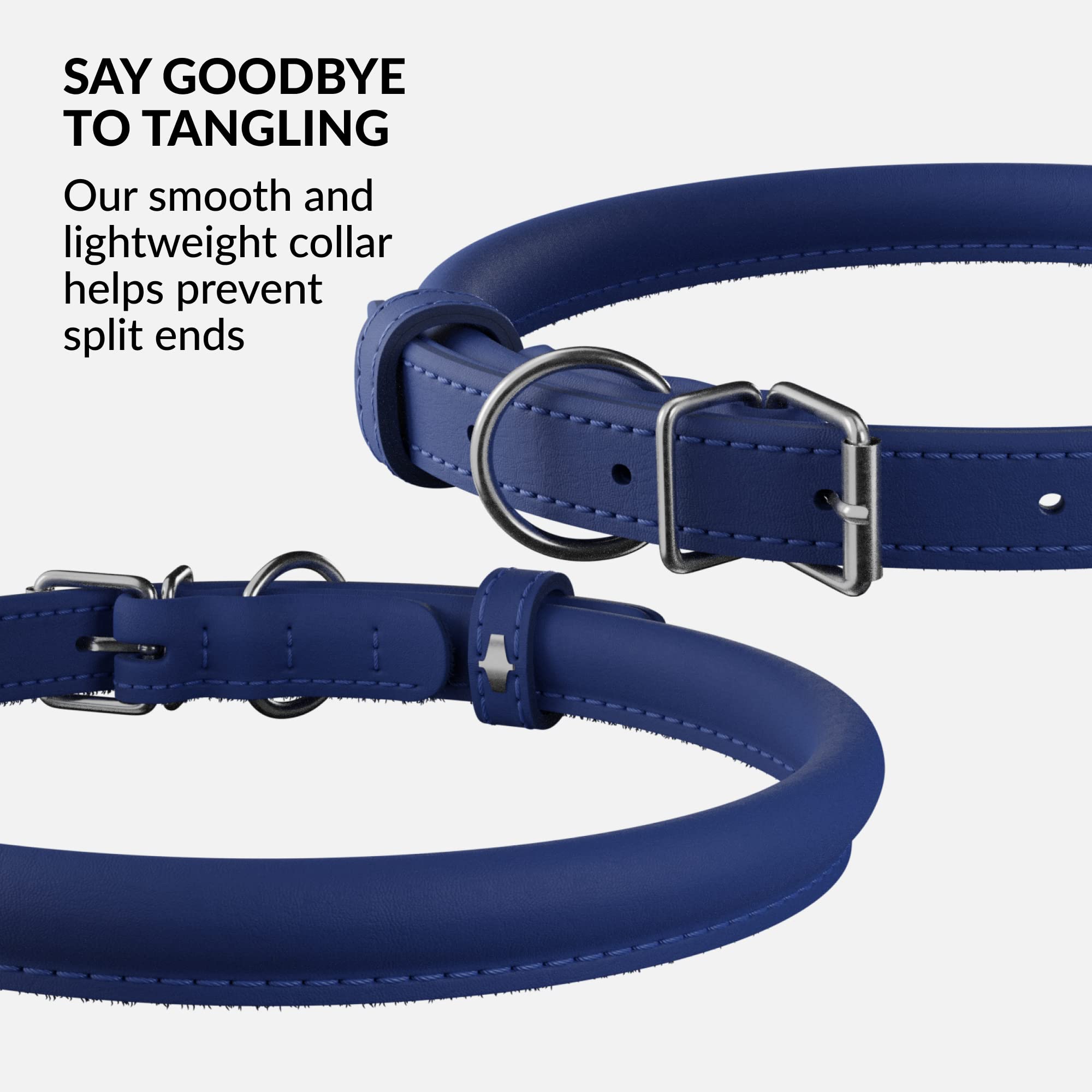CollarDirect soft-padded collar on dog neck showcases comfortable daily wear