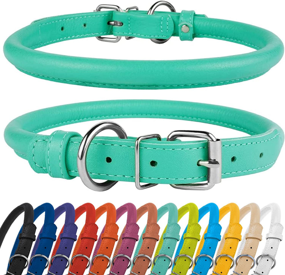 CollarDirect soft-padded collar on a dog highlighting gentle feel for sensitive skin