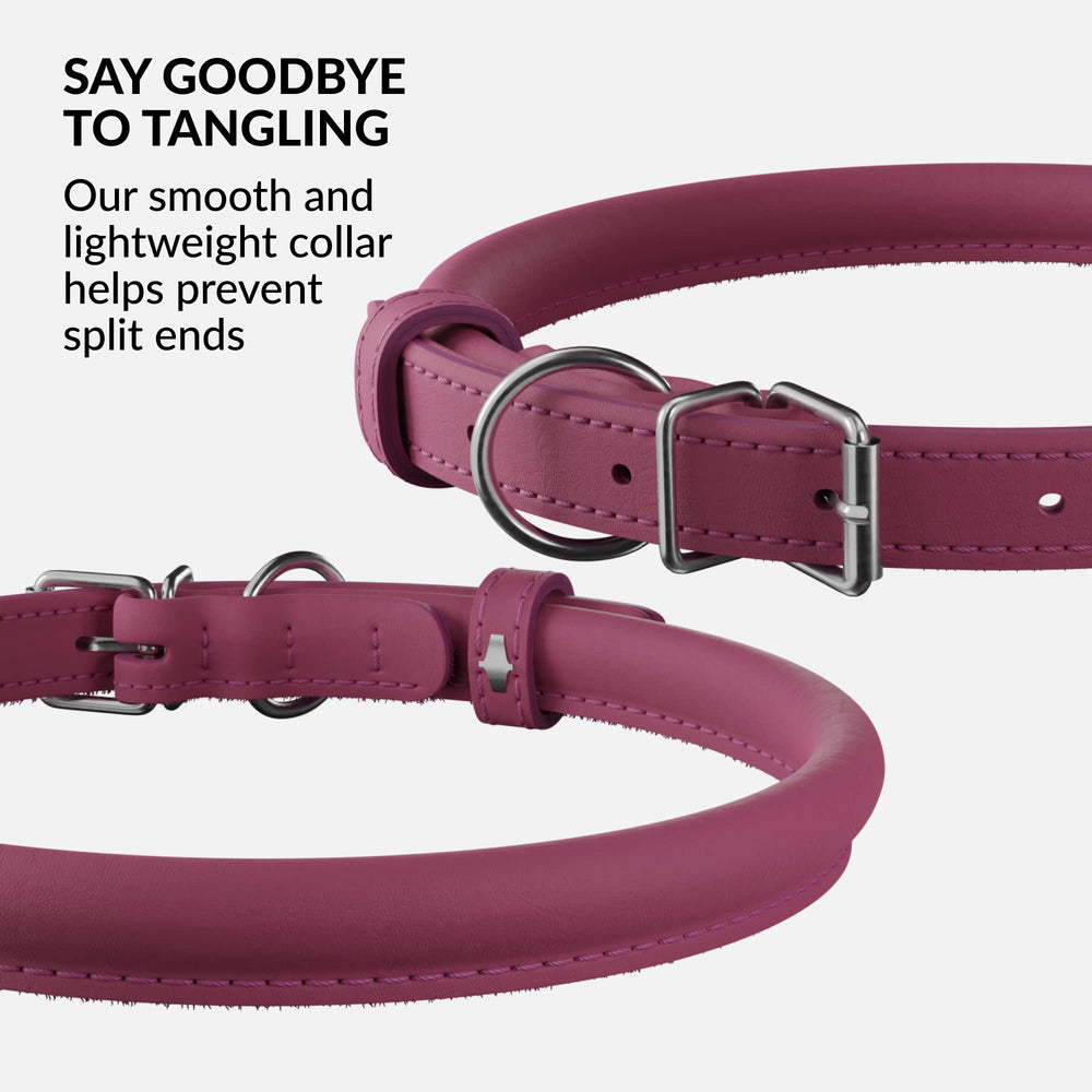 CollarDirect soft padded dog collar side view showing comfort during daily walks