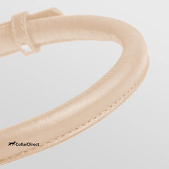 CollarDirect soft-padded edge on puppy demonstrates comfortable daily wear.
