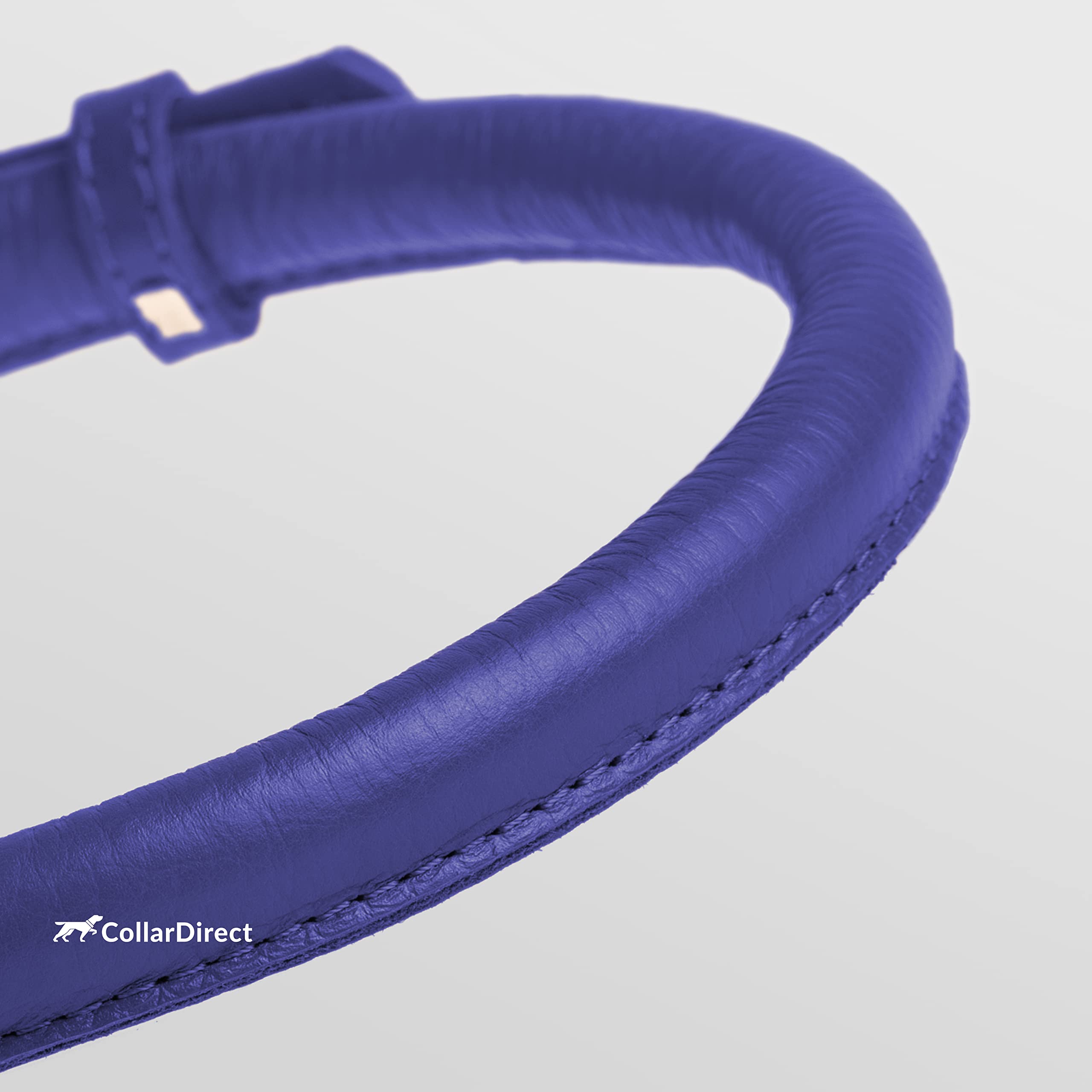CollarDirect soft-padded-leather-collar displays gentle padding for comfortable daily wear.