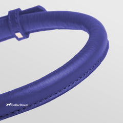 CollarDirect soft-padded-leather-collar displays gentle padding for comfortable daily wear.