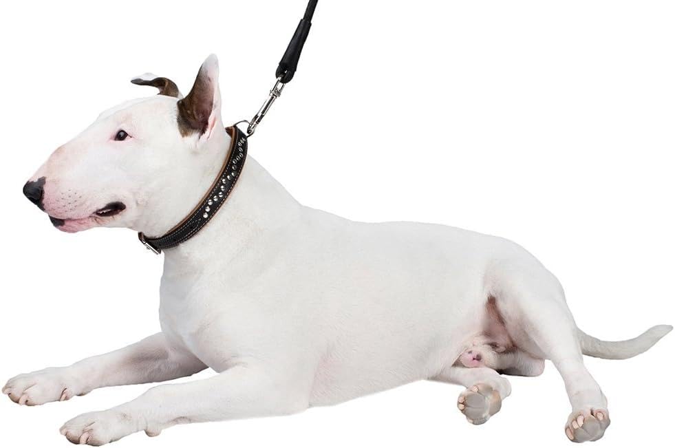 CollarDirect soft padded leather dog collar brown closeup showing comfort