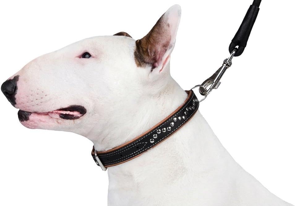 CollarDirect soft-padded leather dog collar brown ensures gentle wear and daily use.
