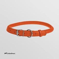 CollarDirect soft-padded leather strap highlights gentle daily comfort.
