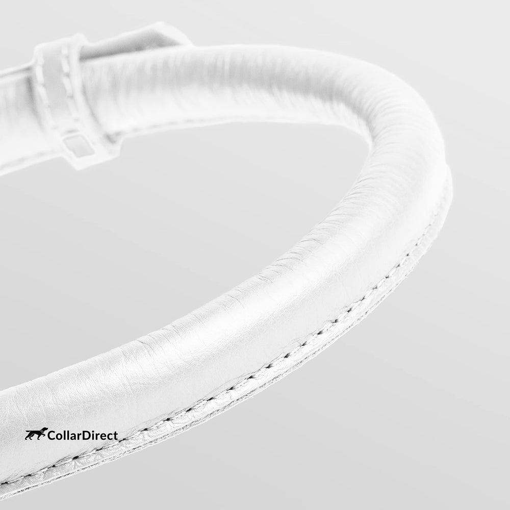 CollarDirect soft padded rolled leather collar on dog demonstrates lightweight wear.