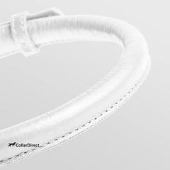 CollarDirect soft padded rolled leather collar on dog demonstrates lightweight wear.