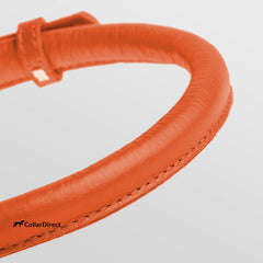 CollarDirect soft-padded round collar closeup shows gentle padding for sensitive skin