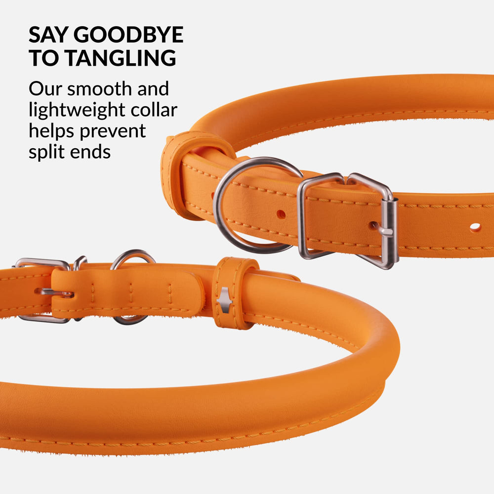 CollarDirect soft-padded round dog collar on a calm dog for daily wear.