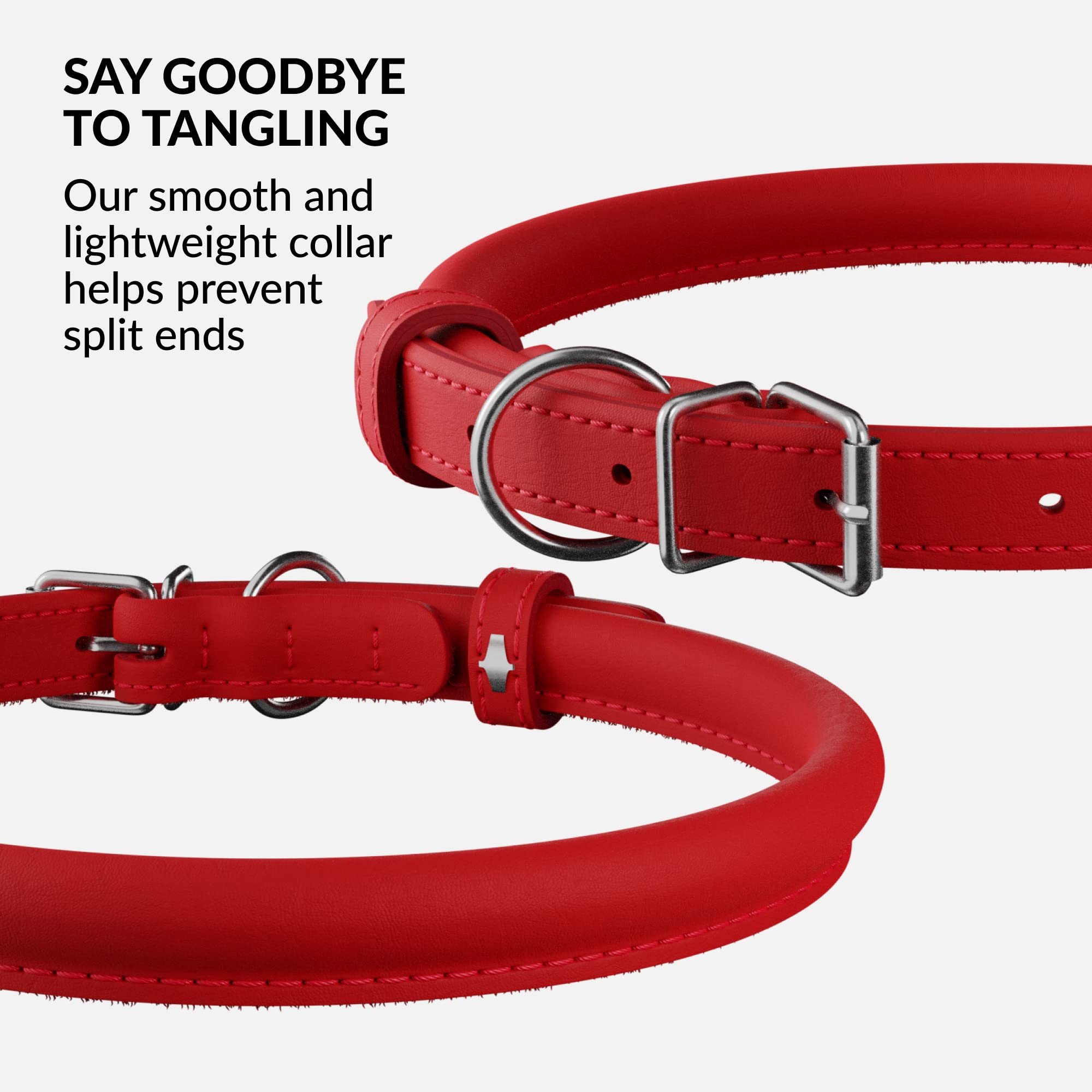 CollarDirect soft padded round puppy collar on a small dog demonstrates gentle support and easy wear.