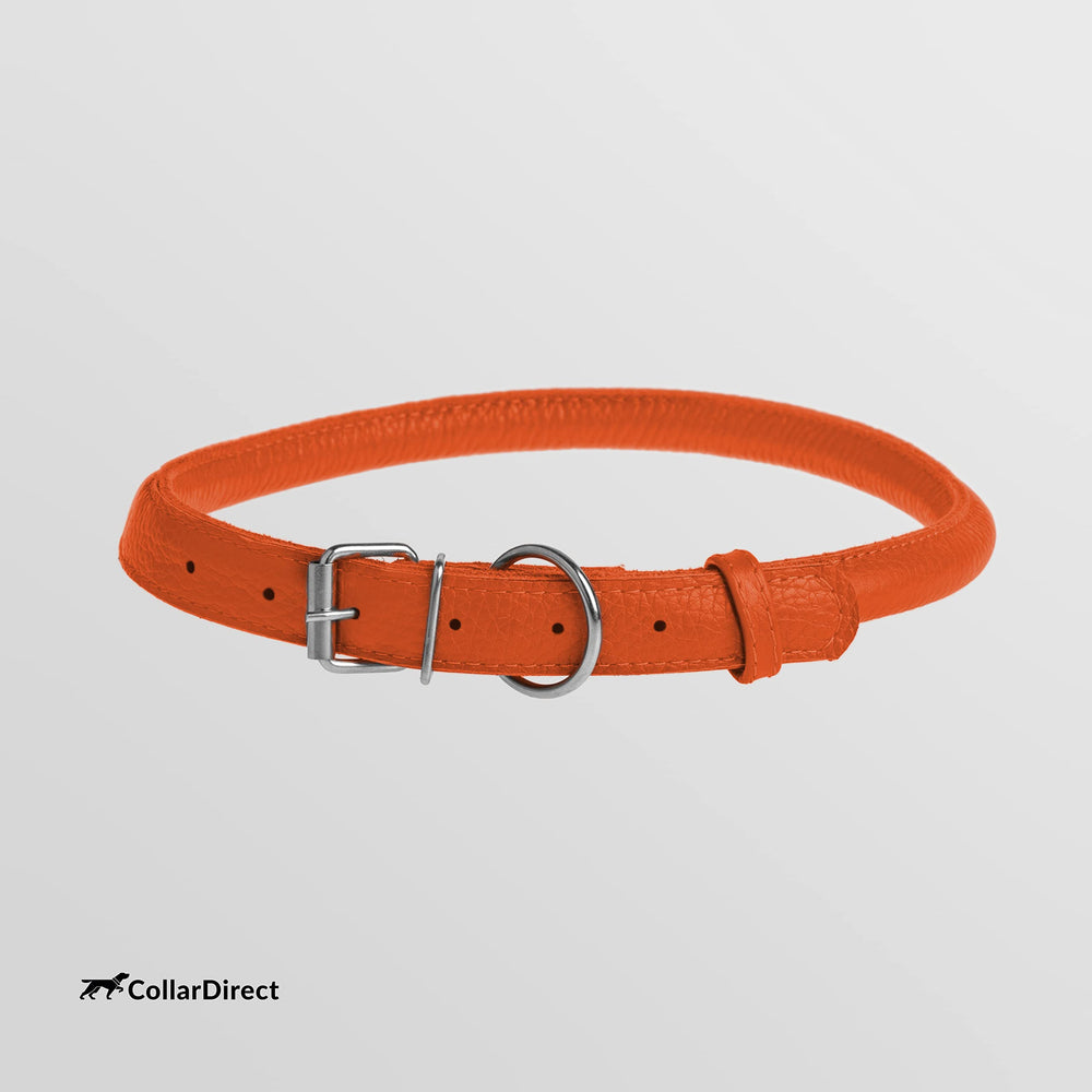 CollarDirect soft padded round puppy collar comfortable everyday wear