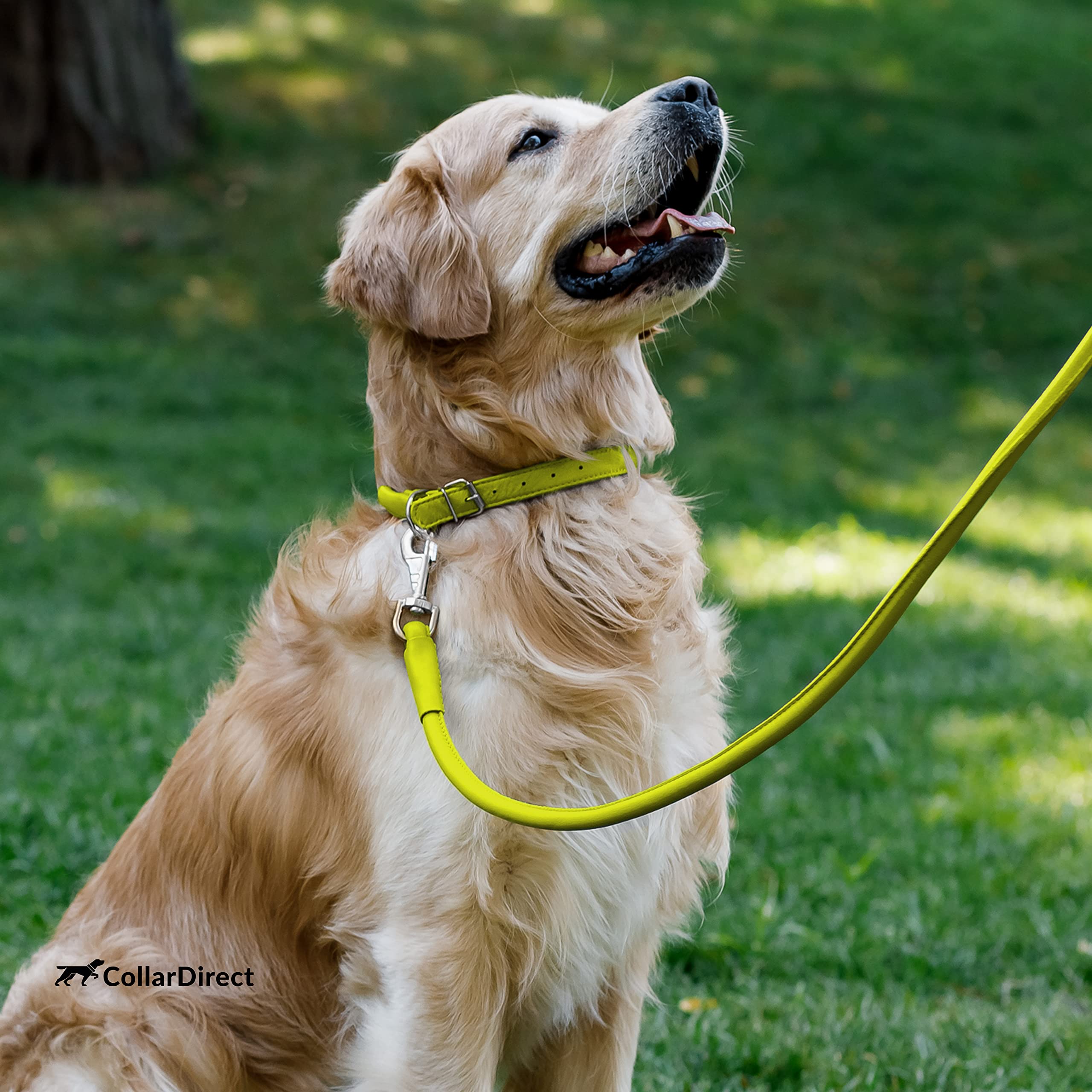 CollarDirect soft-touch dog-collar pairs with a matching leash for everyday adventures