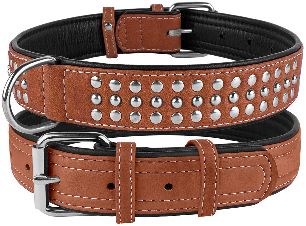 Brown CollarDirect studded collar on a beaming dog outdoors.