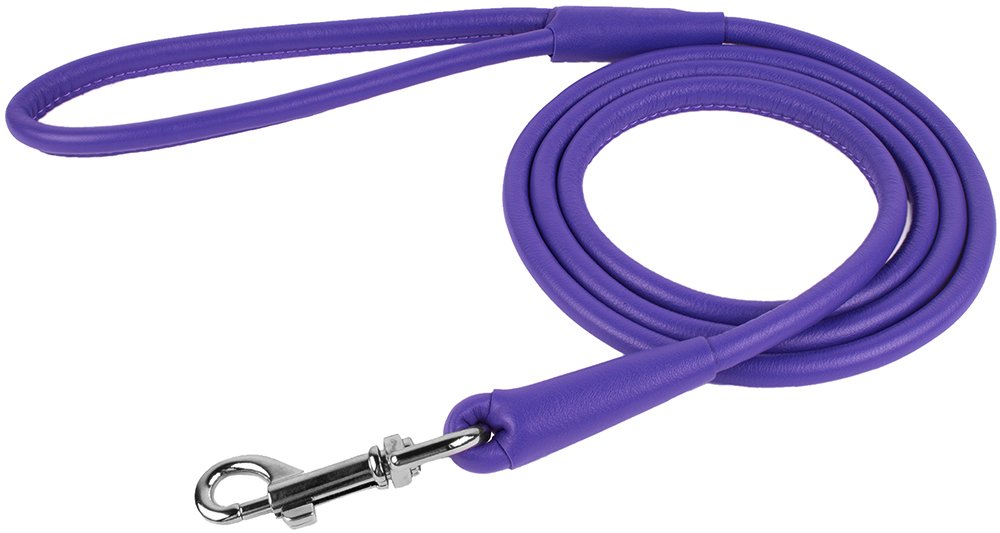 CollarDirect training and everyday leash suits puppies and dogs of all sizes.