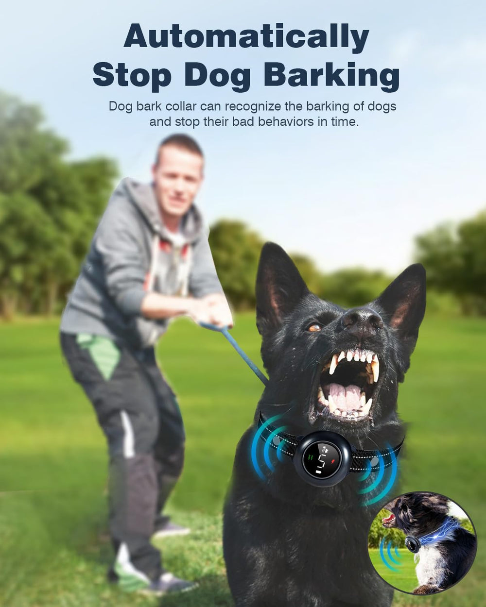 Colofrog adjustable neck close-up showing a snug fit for growing dogs