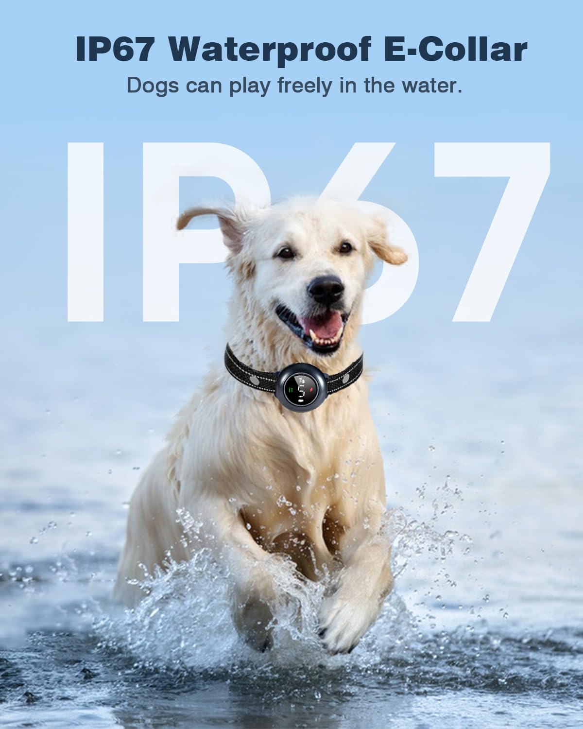 Colofrog IP67 waterproof collar ready for outdoor use and weather resistance