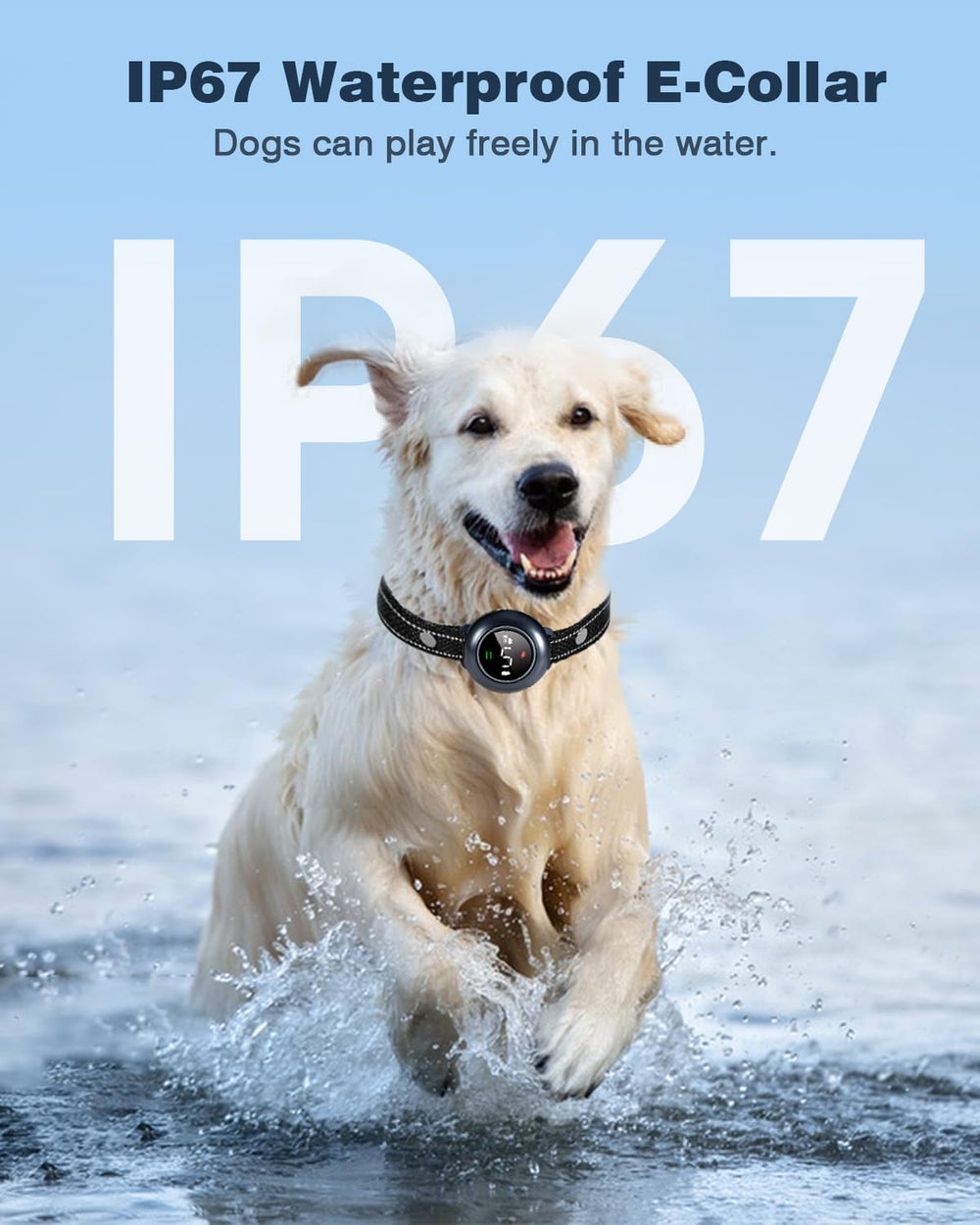 Colofrog IP67 waterproof collar ready for outdoor use and weather resistance