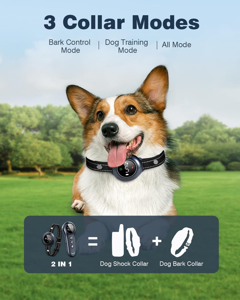 Colofrog remote with 3300ft range for outdoor training and recall