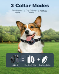 Colofrog remote with 3300ft range for outdoor training and recall