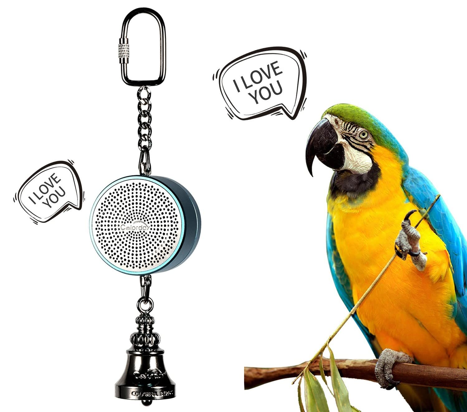 Colorday Bird Toy coach blue for interactive training and bonding.
