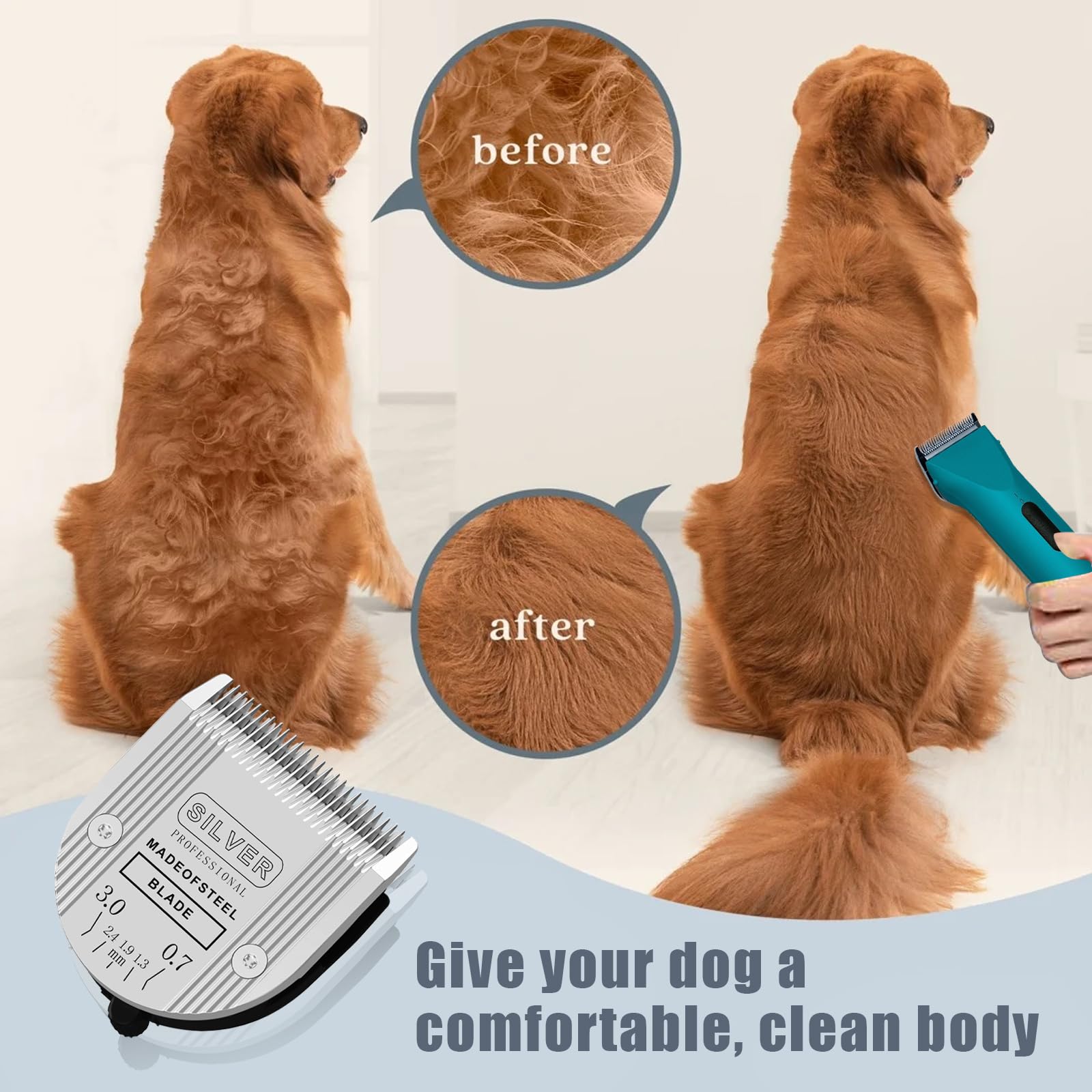 Colorski dog grooming session with blades highlights comfortable styling without rushing the coat.