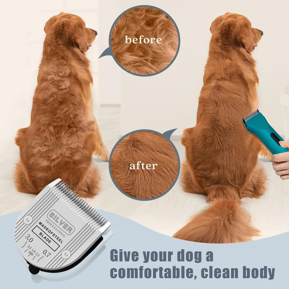 Colorski dog grooming session with blades highlights comfortable styling without rushing the coat.